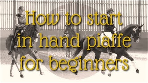 How to start in hand piaffe for beginners - EKW “Dressage is for everyone” Video training series