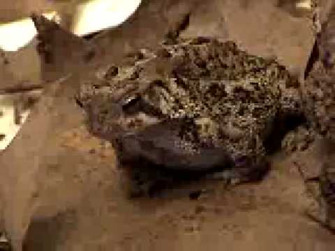 matty healy I check up on storm