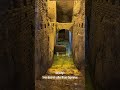 Under the trevi fountain rome italy  giada de laurentiis