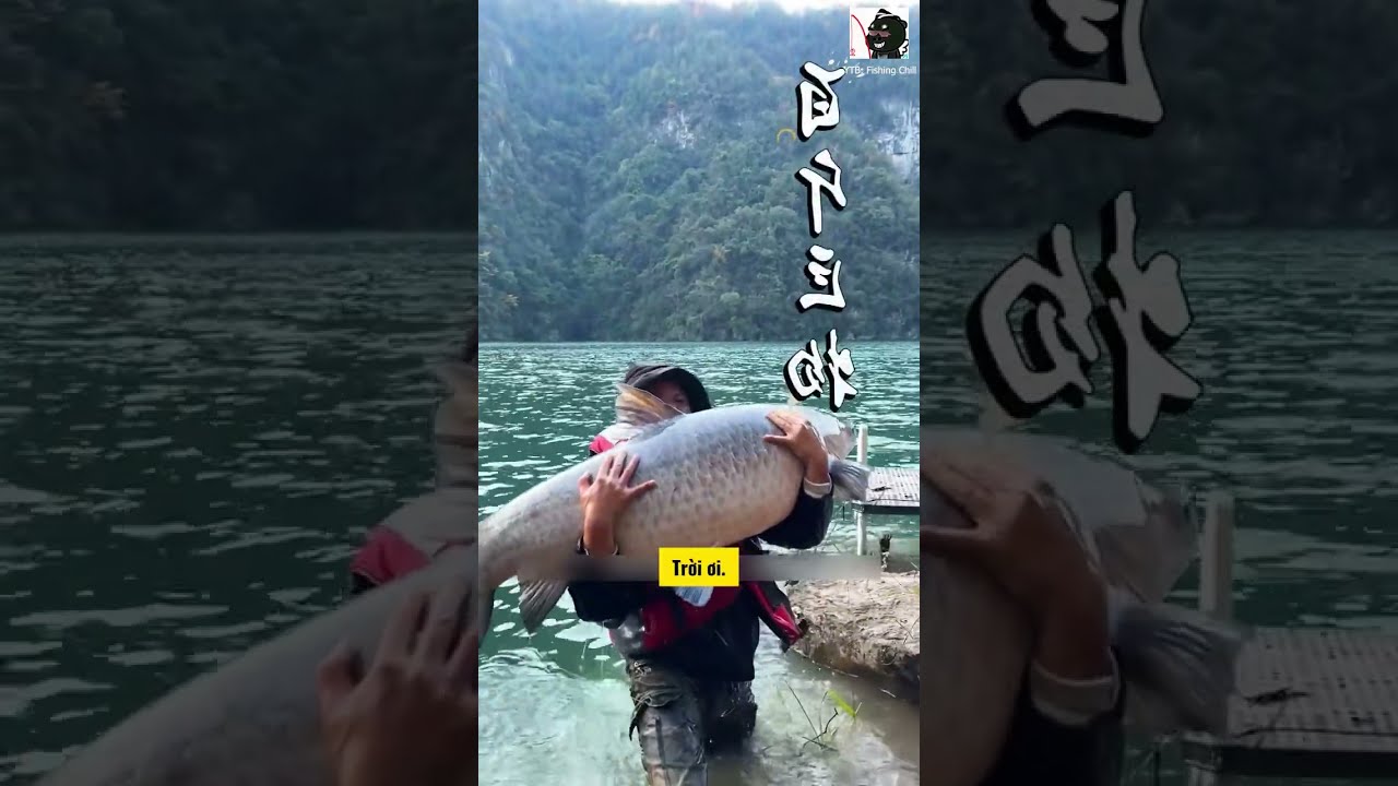 Thủy Quái Trắm Đen 40Kg Kéo Cần 1 Tiếng, Gãy Vợt Full | Fishing Chill