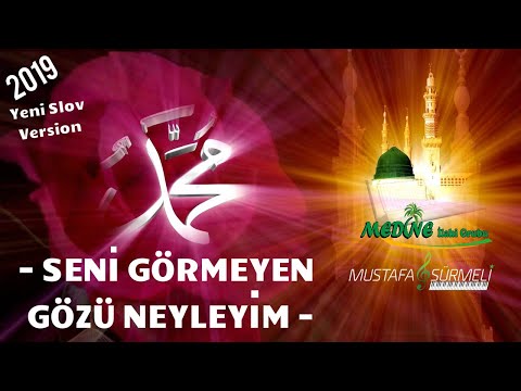 Mustafa Sürmeli SENİ GÖRMEYEN GÖZÜ NEYLEYİM