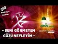 Mustafa Sürmeli SENİ GÖRMEYEN GÖZÜ NEYLEYİM