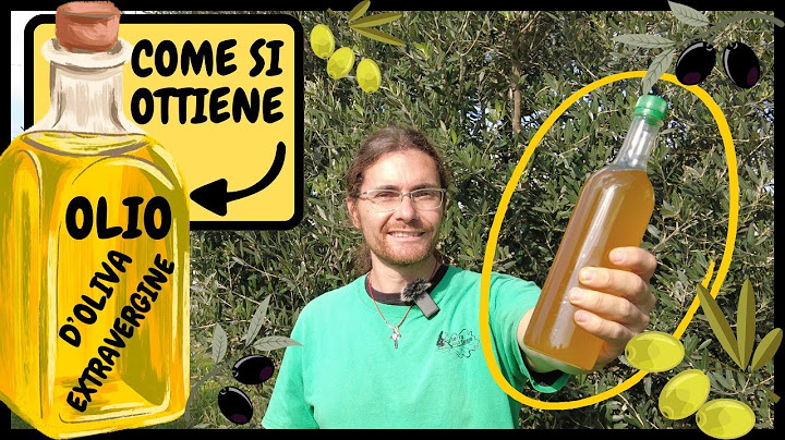 Come si RICAVA L'OLIO dalle OLIVE? Ecco come funziona IL FRANTOIO! | Processo completo documentato