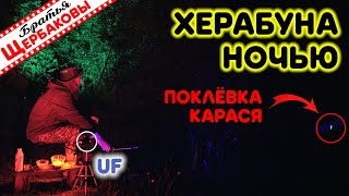 Херабуна. Карась. Ночь. Летняя Сказка После Невыносимой Жары!