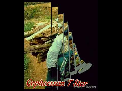 Walaloo Harmee Haadhaa