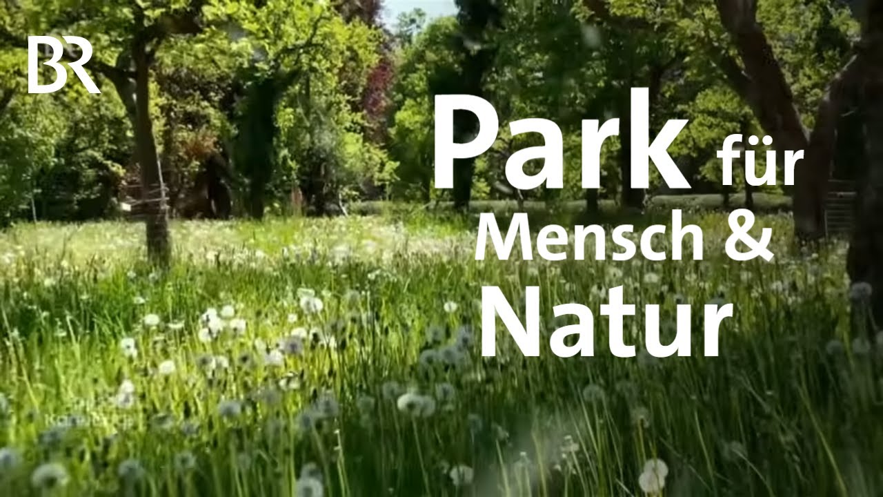 Magdalenenpark: Artenvielfalt für München | Zwischen Spessart und Karwendel | BR