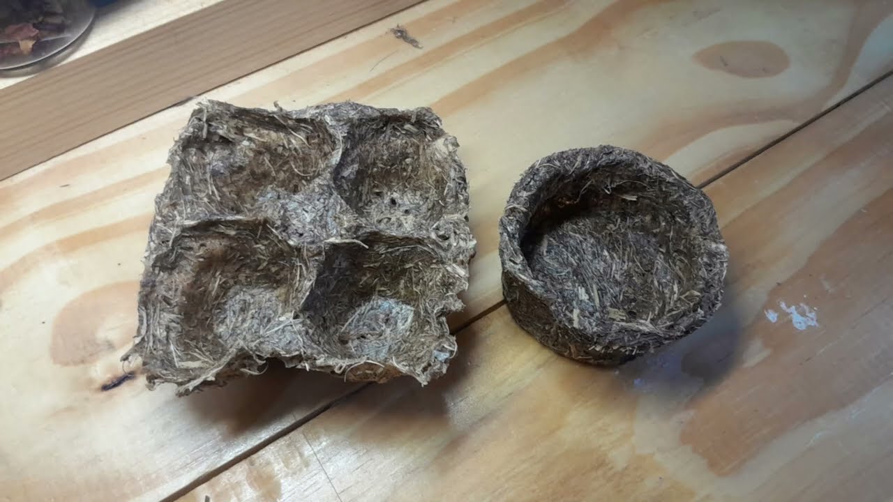 Innovation of Corn Husk Wastes into Biomaterial for Egg Packaging