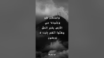سوره القصص #اكسبلور #تيك_توك #لايك #duet #دويتو #حالات_واتس #دويتو #حالات_واتس #راحة_نفسية