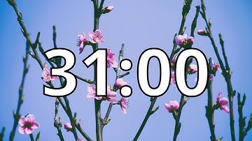31 Minutes Timer with Music | Spring Timer