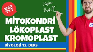 Mitokondri | Lökoplast | Kromoplast | Kloroplast | 2022 TYT Biyoloji Konu Anlatımları #tytbylj