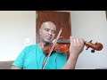 Have you ever seen the rain  creedence violin cover