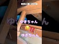 【緊急事態!】天井から急に物音が⁉︎〈short〉