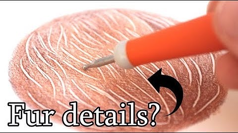 How to Create Fur with an Embossing Tool | Step-by-Step Tutorial