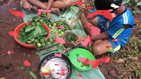 Lá Mì + Cà Đắng Món ăn đặc trưng của Đồng bào Dân tộc Jrai