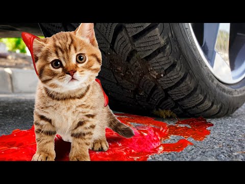 EXPERIMENT: Car vs Mirinda Balloons Coca Cola, Fanta | Crushing Crunchy & Soft Things by Car!