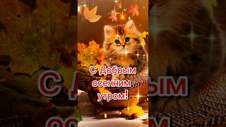 С Добрым Осенним Утром!#shorts