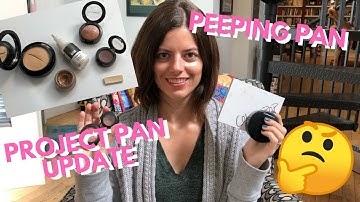 Peeping Pan Project Update 2