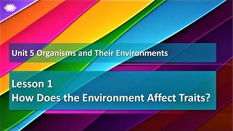 Unit 5 Lesson 1 Exploration 2