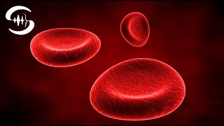 Оптимизация Анализа Крови – Частота Очистки Крови