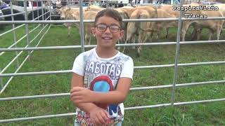 Feria de Riva de Ruesga 19 07 2025