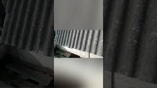 Π²ΠΈΠ΄Π΅ΠΎ: ΠΠΎΠΌΠ°ΡΡ, Π½Π΅Π»ΡΠ·Ρ ΡΠ΄Π°Π²Π°ΡΡΡΡ.  ΠΊΠ°ΡΡΠΈΠ½ΠΊΠ°: ΠΠΎΠΌΠ°ΡΡ, Π½Π΅Π»ΡΠ·Ρ ΡΠ΄Π°Π²Π°ΡΡΡΡ.