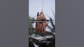 على الله#quran #قرآن #القرآن_الكريم#قران #تلاوات #تلاوات_خاشعة #تلاوة_مميزة #العفاسي#reels #اكسبلور