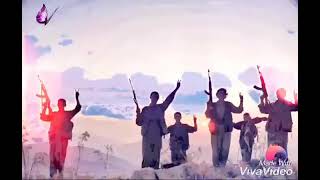 Stran Hatın Ref Bı Ref Axîn Biro  ستران هاتين رةف بي رةف ئاخين بيرو