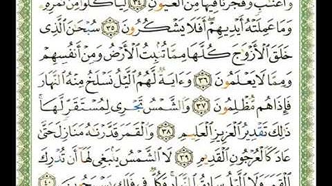 036 - سورة يس - ناصر القطامي