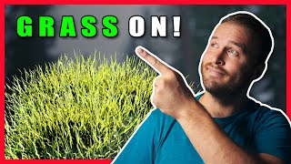 Speedtree Tutorial - How to create Grass in 10 min