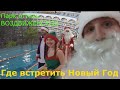 Где встретить Новый Год.  Парк отель Воздвиженское.  Зубры. Приокско террасный заповедник.