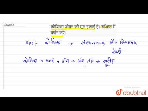 वीडियो: आप एक ताड़ के पेड़ को बिना मारे कैसे हिलाते हैं?