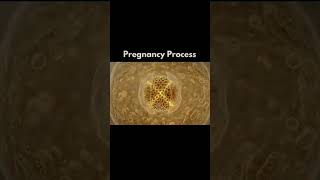 Complete Pregnancy Process in 1 Minute |From Fertilization to Baby Birth 3D Animation #neet #biology