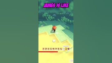 This is NOT What Dinkum Dev had Planned - Summer Sun Update