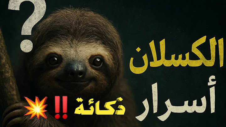 اسرار مكنتش تعرفها عن  عبقرية وعادات الكسلان حلمي توصلوني 50k مشترك💥