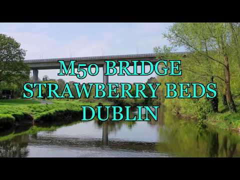 Video: Dublinin M50 Orbital Magistralında rüsumları necə ödəmək olar
