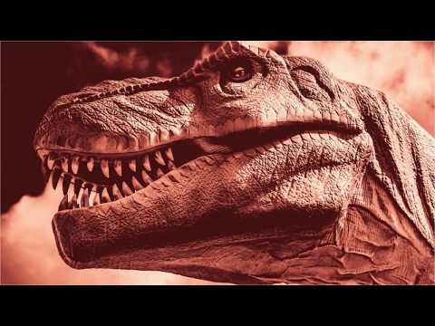 dinosaurs-before-dark-(official-trailer-#1k)