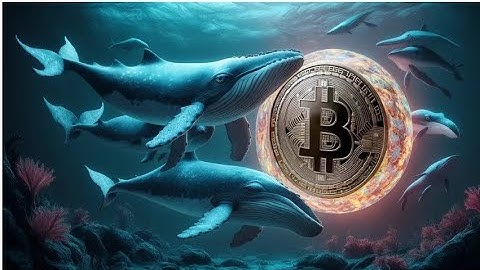 Cá voi Hyperliquid đóng vị thế long BTC trị giá 1,2 tỷ USD sau khi lỗ 13 triệu USD