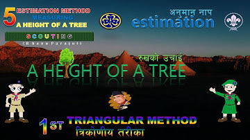 How a Scout Measure the height of a tree with Triangular Method?