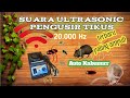 Suara Pengusir tikus paling ampuh 2023 | ultrasonic pengusir tikus, nyamuk, kecoa 20.000 Hz