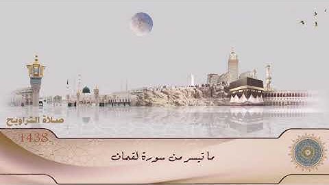 ما تيسر من سورة لقمان.. تلاوة مختارة لأبي خالد
