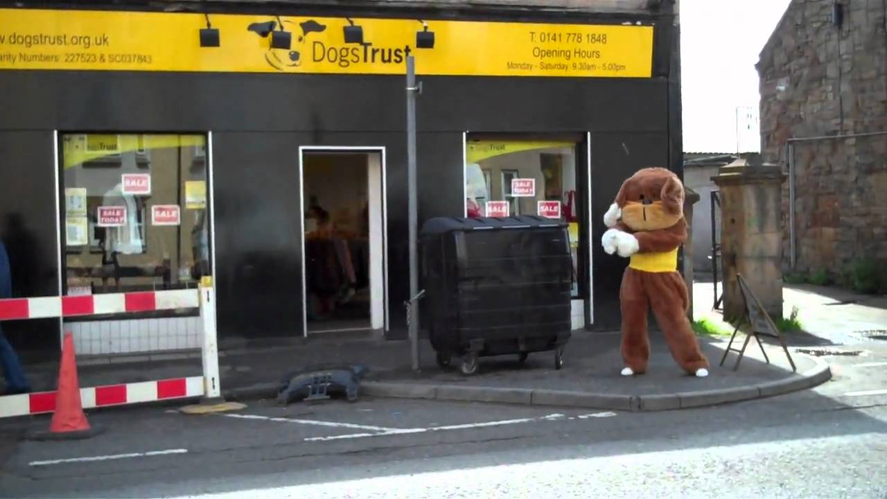 Dogs Trust Glasgow Charity Shop Sale Day YouTube