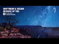 Driftmoon & Susana - Because Of You (Amsterdam Trance) Extended