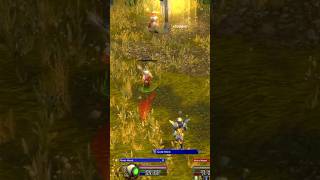 The Bravest Gnome I've Ever Seen | World of Warcraft: Classic Era #worldofwarcraft #wowpvp