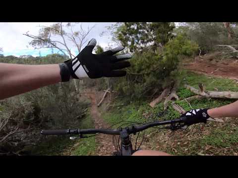 Fox Ranger MTB Gloves Review (4K)