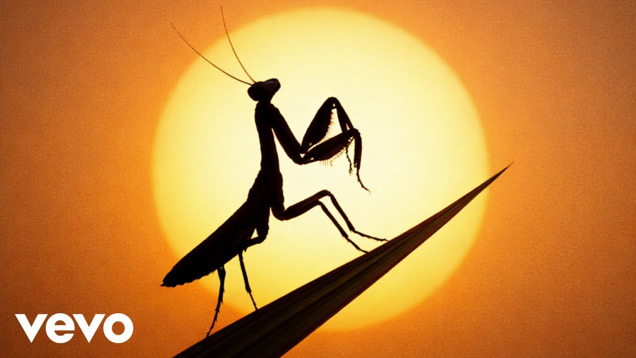 Watch Greeicy, Cultura Profética - Mantis (Audio) on YouTube Watch Greeicy, Cultura Profética - Mantis (Audio) on YouTube