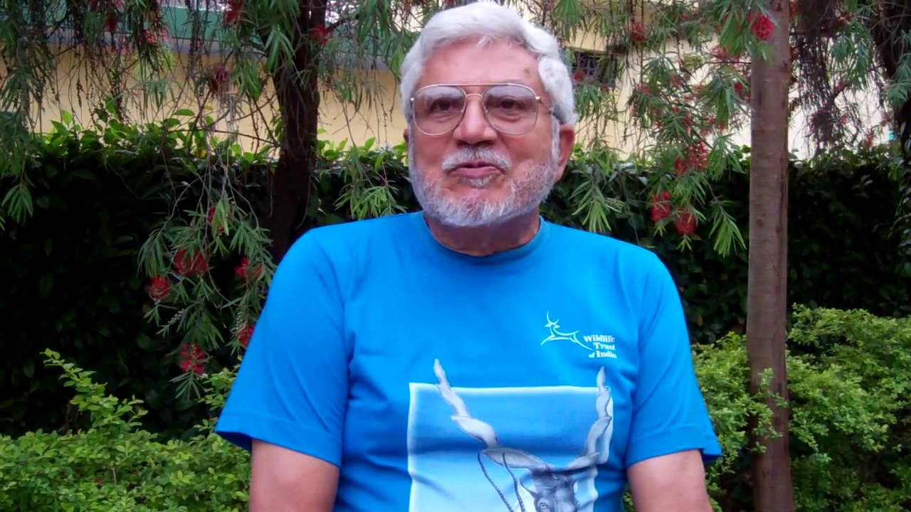 animal welfare act of 1998 tagalog 011_Support for Elephant - HMS Campaign