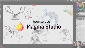 How to use Magma Studio multi-artist app in under 10 minutes