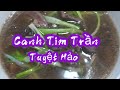 Canh tim trn  ngon tuyt ho  mn ngon nh nu