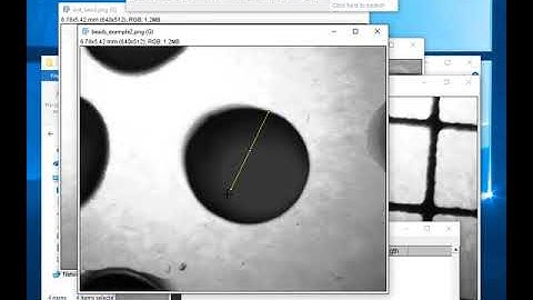 Using ImageJ to measure size