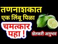 तणनाशकाचा रिझल्ट 10 पटीने वाढवतं 1 लिंबू |तन नियंत्रण,लव्हाळा,हराळी,काँग्रेज,गाजर गवत।tan nashak,new